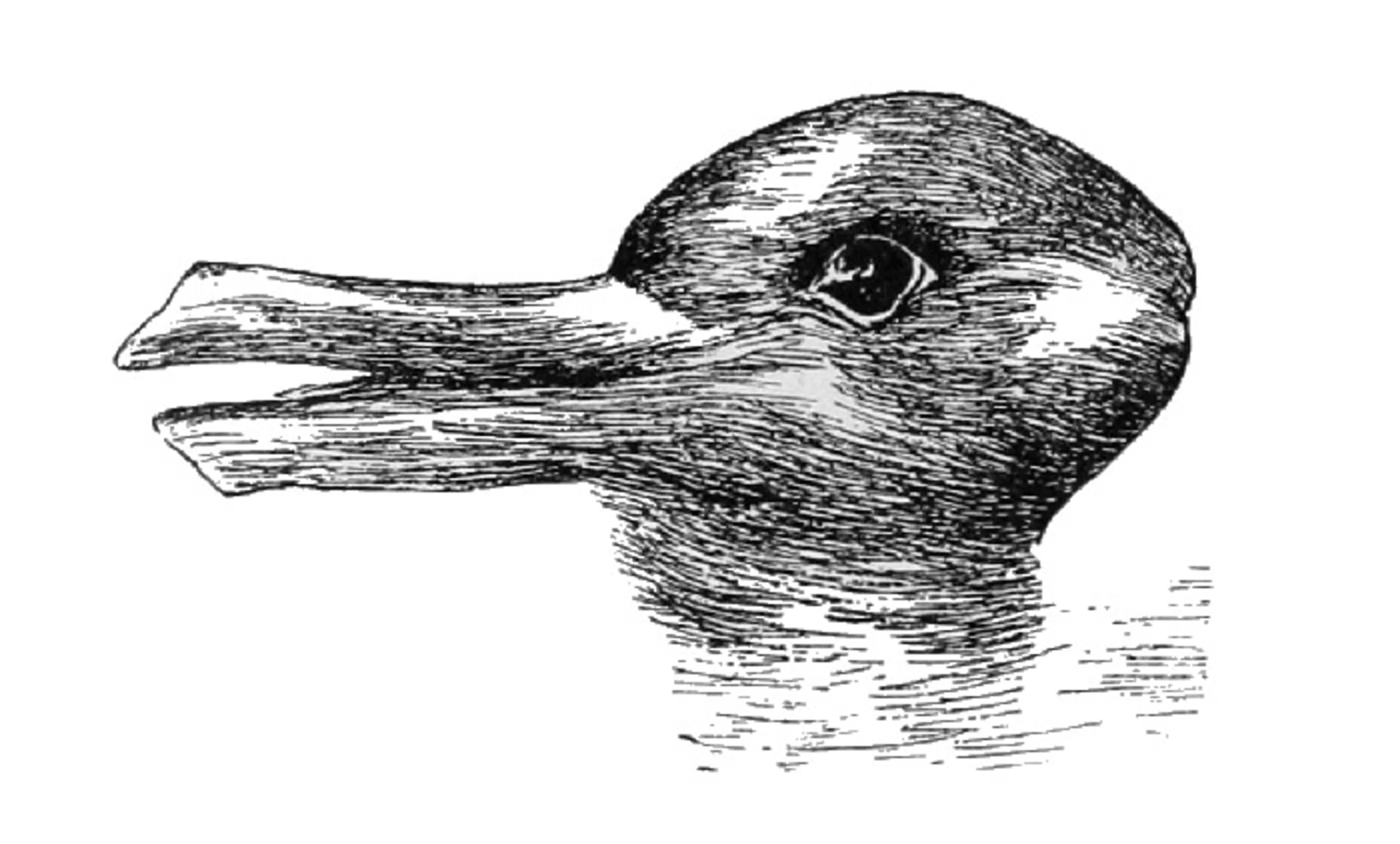 The classic duck–rabbit illusion — an ink drawing that reads as a duck facing left, its bill open, and also as a rabbit facing right, the bill becoming two ears.